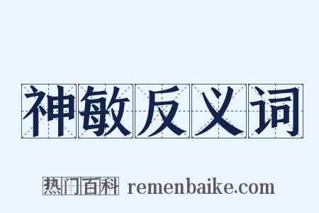 神敏反义词是什么意思的图片